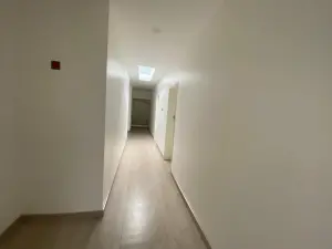 Flat/Apartment to Rent