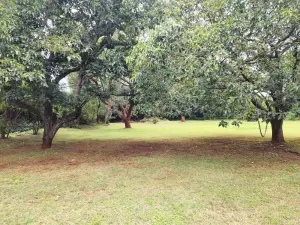 3 Bedroom House to Rent in Vainona