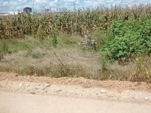 Residential Stand for Sale