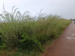 Residential Stand for Sale