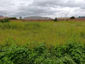 Residential Stand for Sale