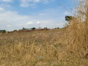 Commercial Stand for Sale