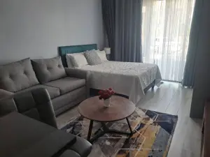 Flat/Apartment to Rent