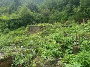 Residential Stand for Sale