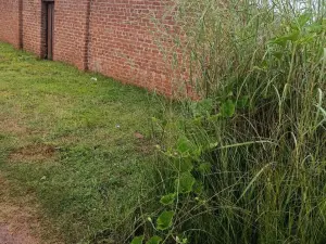 Residential Stand for Sale