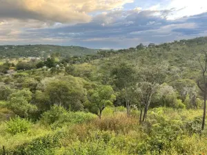 Residential Stand for Sale in Helensvale