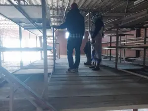 Warehouse/Industrial to Rent in Belvedere