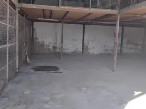 Warehouse/Industrial to Rent in Belvedere