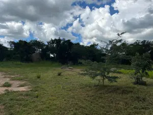 Industrial Stand for Sale