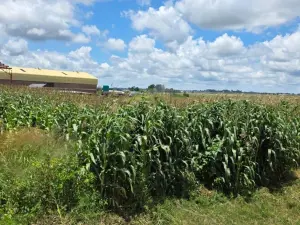 Industrial Stand for Sale