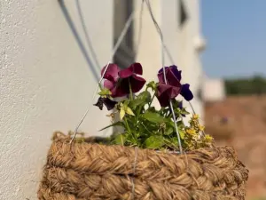 Townhouse/Cluster to Rent in Greendale