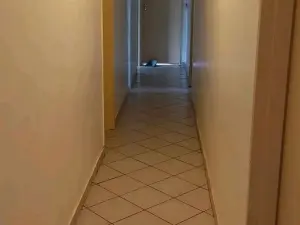 4 Bedroom House to Rent in Borrowdale West