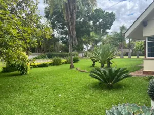 Office to Rent in Mount Pleasant