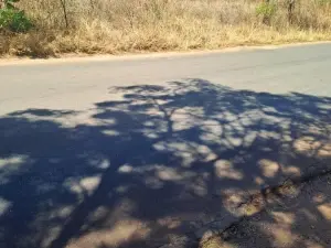 Residential Stand for Sale