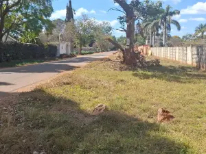 Residential Stand for Sale