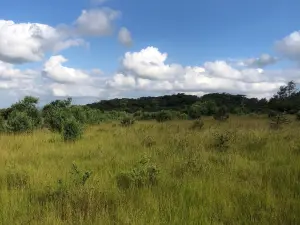 Residential Stand for Sale