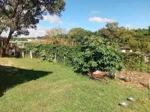 Residential Stand for Sale