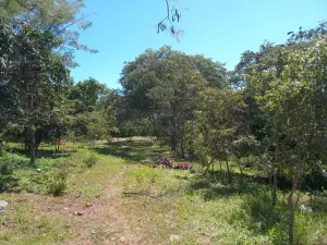 Residential Stand for Sale