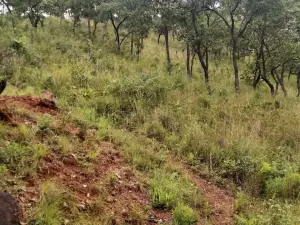 Residential Stand for Sale