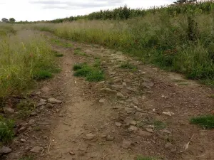 Residential Stand for Sale