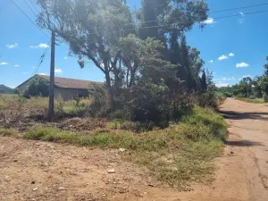 Commercial Stand for Sale