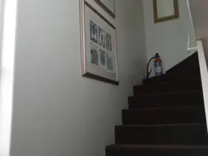 Flat/Apartment to Rent in Avondale