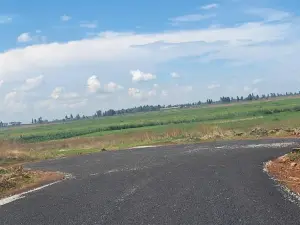 Residential Stand for Sale