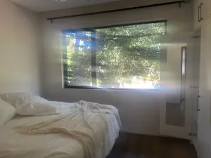 Flat/Apartment to Rent