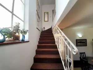 Flat/Apartment to Rent in Avondale