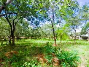 Residential Stand for Sale