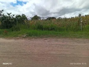 Residential Stand for Sale