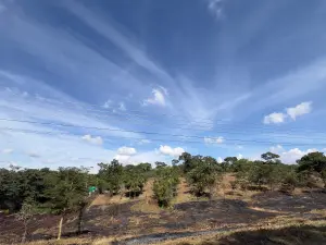 Residential Stand for Sale