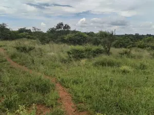 Residential Stand for Sale