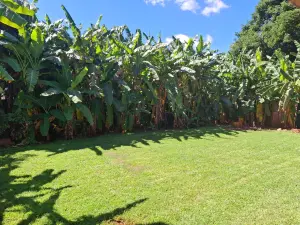 3 Bedroom House to Rent in Greendale