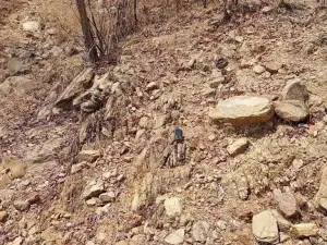 Industrial Stand for Sale