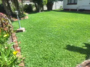 3 Bedroom Cottage/Garden Flat to Rent in Athlone