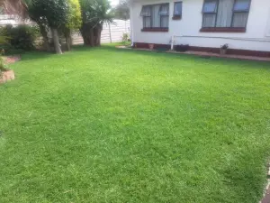 3 Bedroom Cottage/Garden Flat to Rent in Athlone