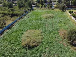 Residential Stand for Sale