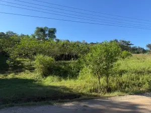 Residential Stand for Sale