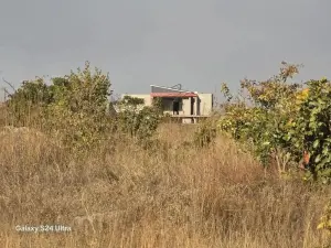 Residential Stand for Sale