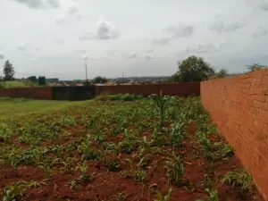 Residential Stand for Sale