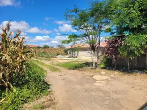 Residential Stand for Sale