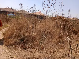 Residential Stand for Sale