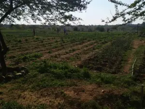 Residential Stand for Sale