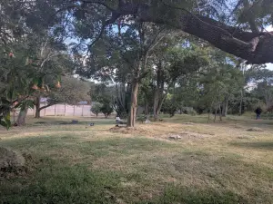 Residential Stand for Sale