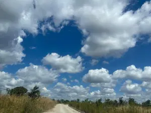 Residential Stand for Sale