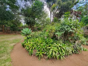 4 Bedroom House to Rent in Chisipite