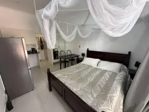 1 Bedroom Cottage/Garden Flat to Rent in Avondale