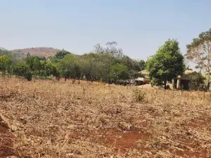 Residential Stand for Sale