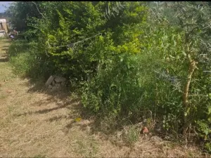 Residential Stand for Sale